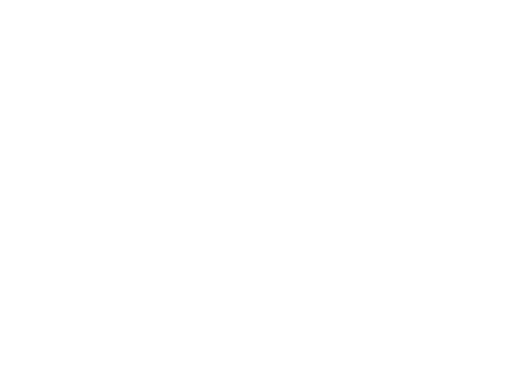 Alpago Group